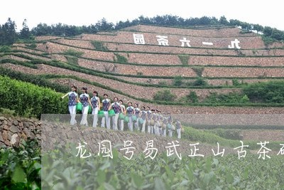 龙园号易武正山古茶砖/2023092338491