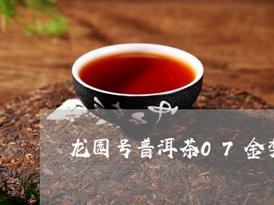 龙园号普洱茶07金奖/2023100772848