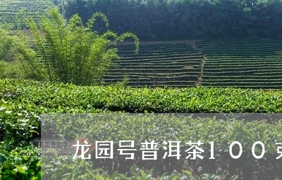 龙园号普洱茶100克/2023120618405