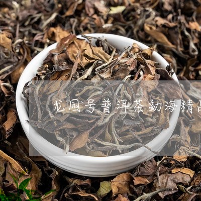 龙园号普洱茶勐海精品/2023100541804