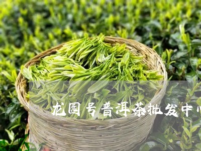 龙园号普洱茶批发中心/2023100566137