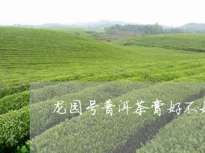 龙园号普洱茶膏好不好/2023062183038