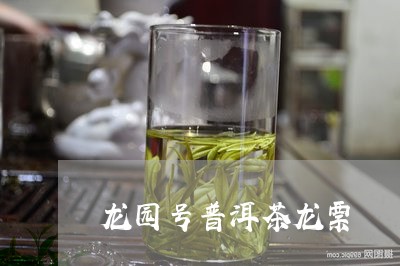 龙园号普洱茶龙票/2023120472537