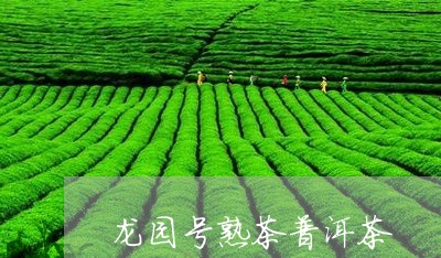 龙园号熟茶普洱茶/2023120498158