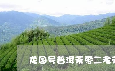 龙国号普洱茶零二老茶/2023080303047