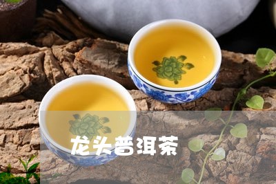 龙头普洱茶/2023102519596