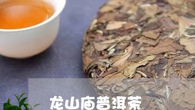 龙山庙普洱茶/2023042703239