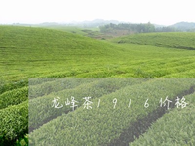 龙峰茶1916价格/2023042214947