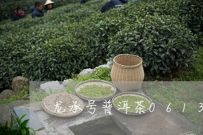 龙承号普洱茶0613/2023100624939