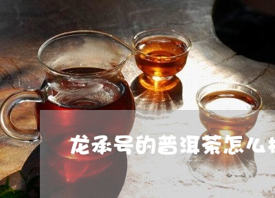 龙承号的普洱茶怎么样/2023061511605