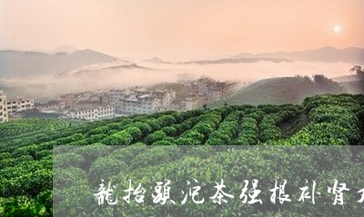 龙抬头沱茶强根补肾丸/2023060992938