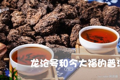 龙沧号和今大福的普洱茶比较/2023121851703