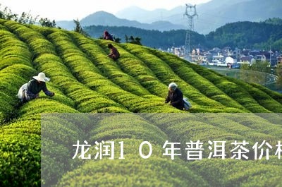 龙润10年普洱茶价格/2023093058393