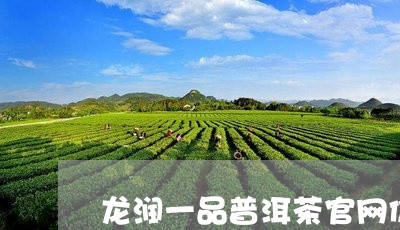 龙润一品普洱茶官网价格表/2023051182716