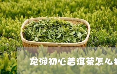 龙润初心普洱茶怎么样/2023072325058