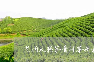 龙润天籁茶普洱茶价格/2023100760916