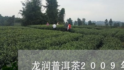 龙润普洱茶2009年/2023080130616