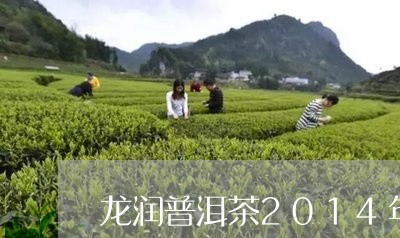 龙润普洱茶2014年/2023080323694