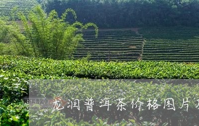 龙润普洱茶价格图片及价格/2023121891627