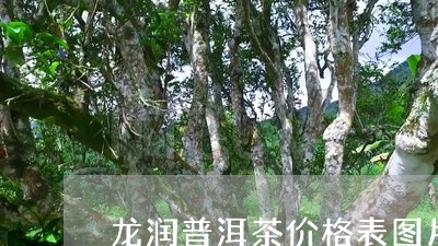 龙润普洱茶价格表图片/2023083180603