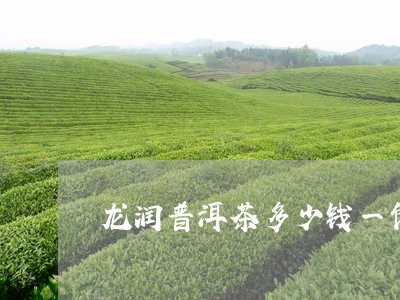 龙润普洱茶多少钱一饼/2023092533926