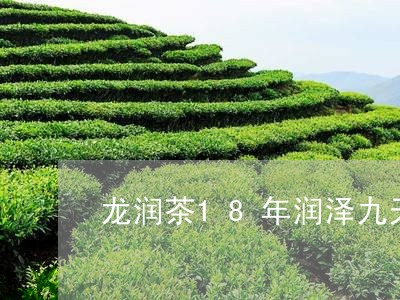 龙润茶18年润泽九天价格/2023051170595