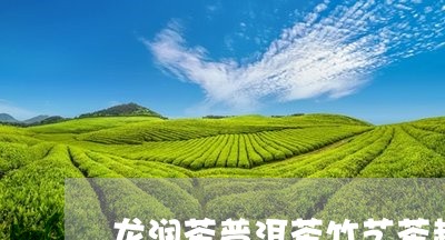 龙润茶普洱茶竹艺茶趣/2023080330513