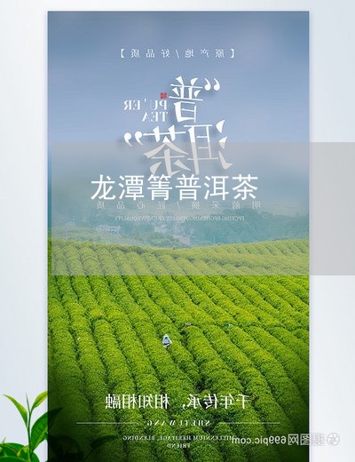 龙潭箐普洱茶/2023112654915