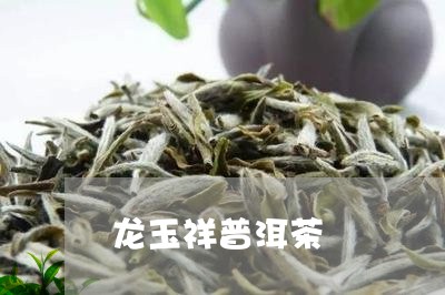 龙玉祥普洱茶/2023042598554