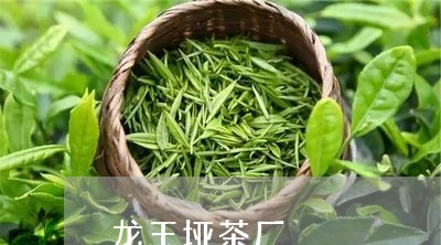 龙王垭茶厂/2023090296150