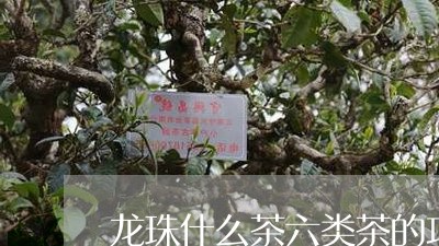 龙珠什么茶六类茶的功效和作用/2023053135917