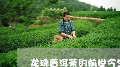 龙珠普洱茶的前世今生/2023063013039