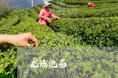 龙珠泡茶/2023090156358