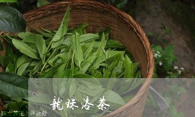 龙珠洛茶/2023121913826