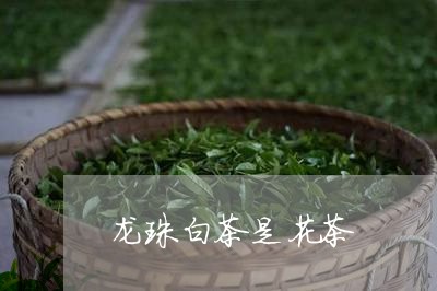 龙珠白茶是花茶/2023061122717