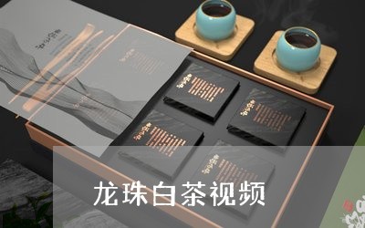 龙珠白茶视频/2023052579592