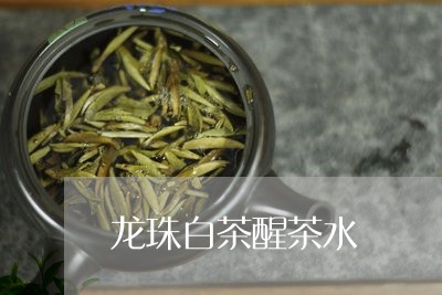 龙珠白茶醒茶水/2023061192693