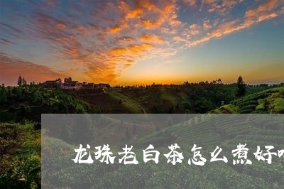 龙珠老白茶怎么煮好喝一点/2023111518204