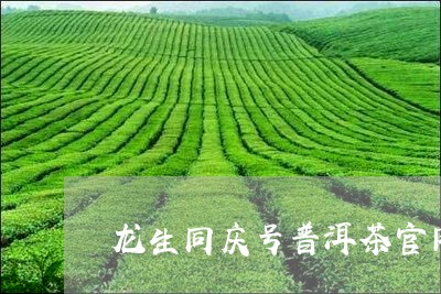 龙生同庆号普洱茶官网/2023092893049