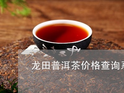 龙田普洱茶价格查询系统/2023121861704