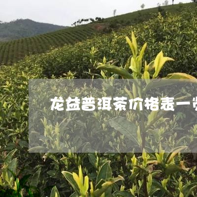 龙益普洱茶价格表一览/2023121848572