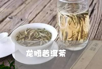 龙腾普洱茶/2023090655158