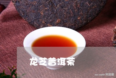 龙芝普洱茶/2023090616160