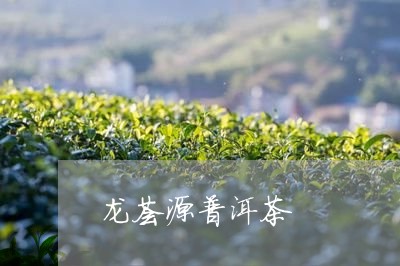 龙荟源普洱茶/2023081841685