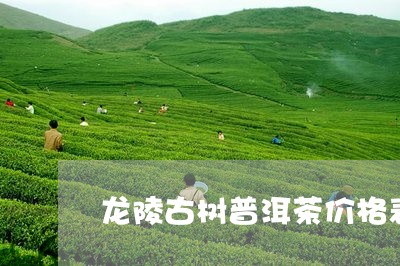 龙陵古树普洱茶价格表/2023111063805