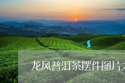 龙风普洱茶摆件图片大全/2023120725037