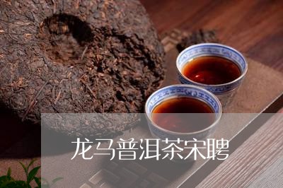 龙马普洱茶宋聘/2023112618259