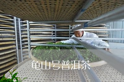 龟山号普洱茶/2023112606250