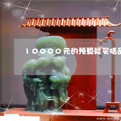 10000元的预算能买啥品种的翡翠手镯/2023080368670