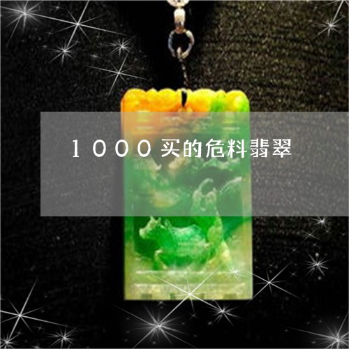 1000买的危料翡翠/2023110845765